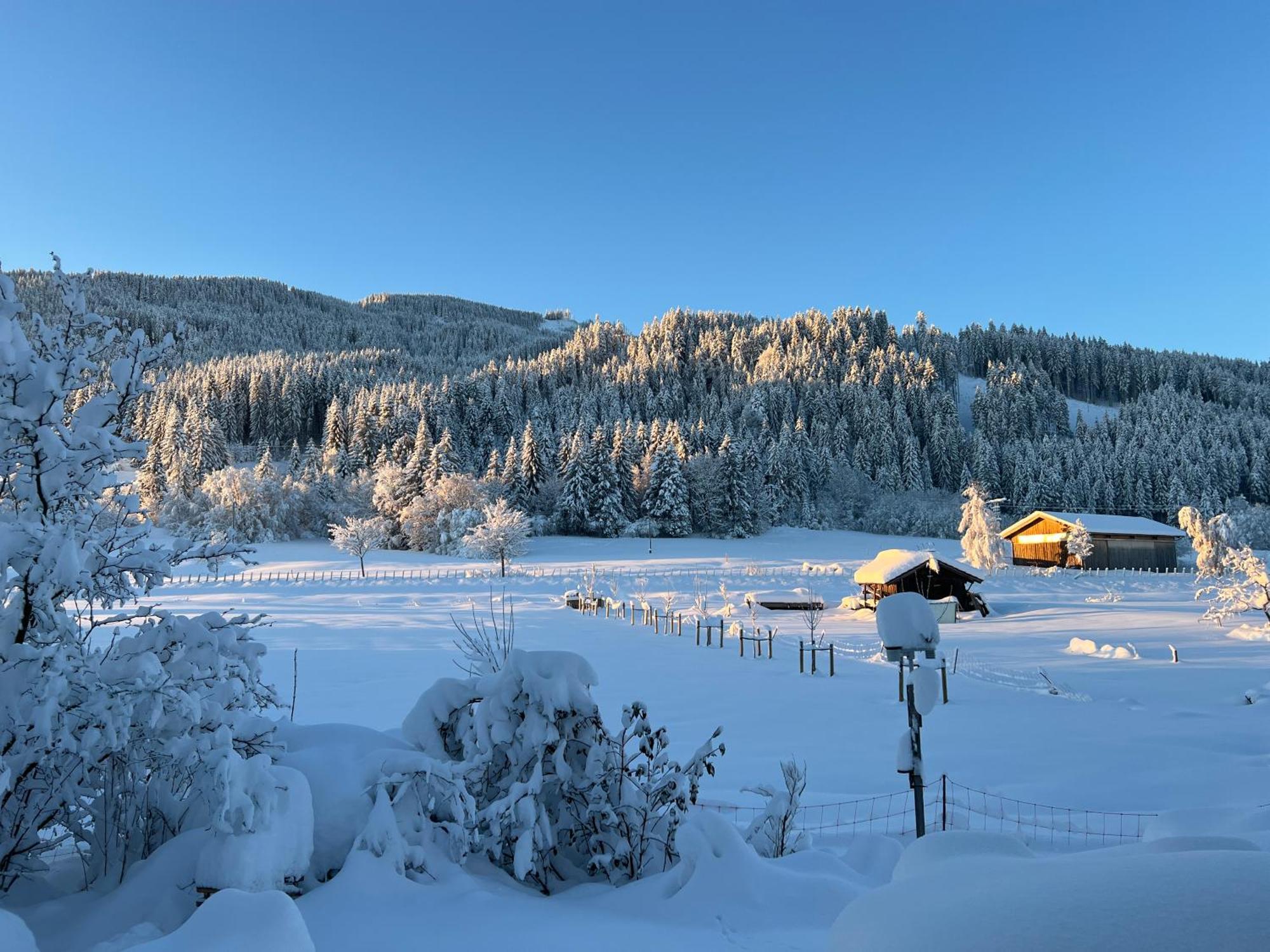 Beim Patzelt - Ferienhaus In Nesselwang Esterno foto