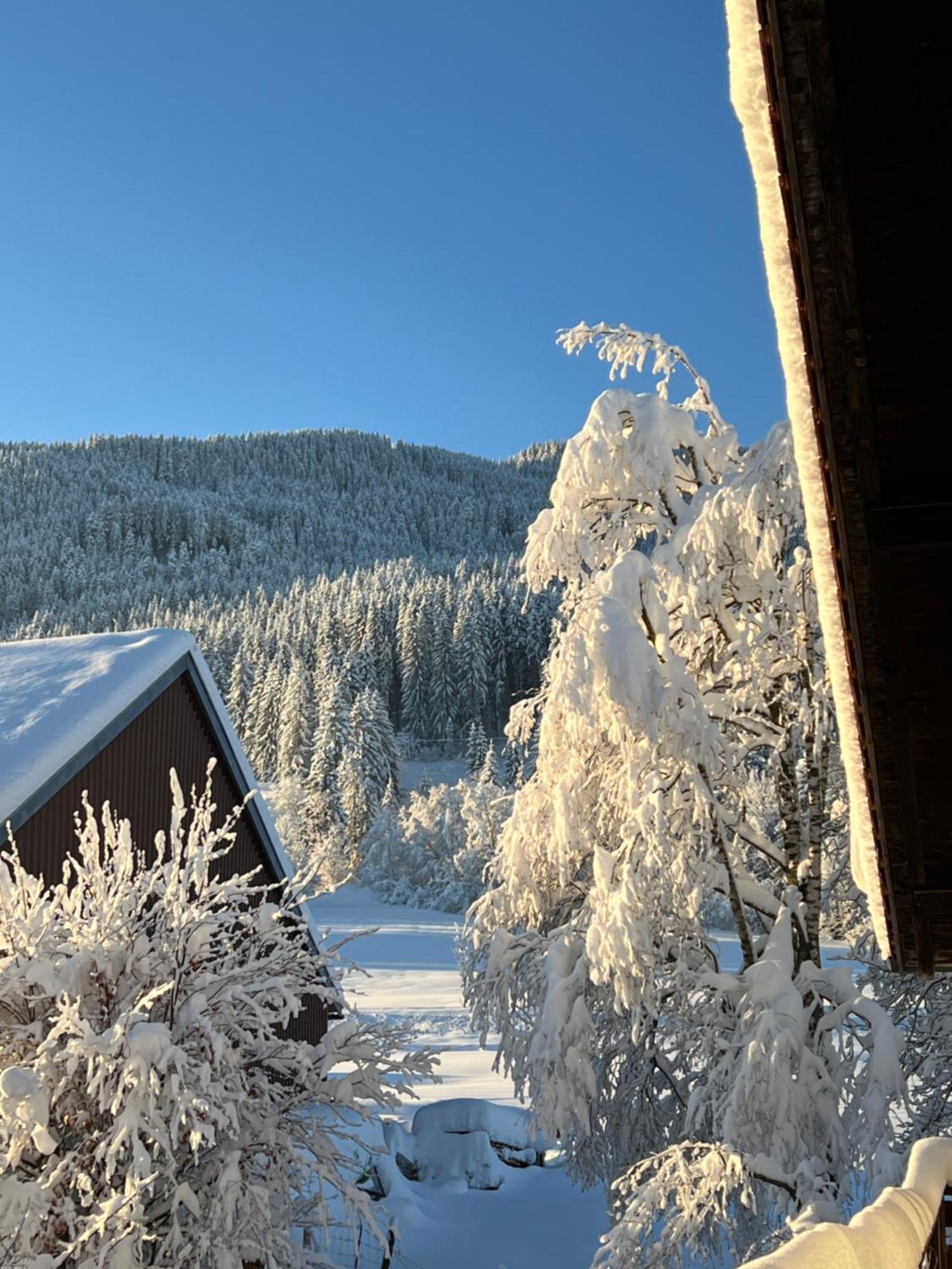 Beim Patzelt - Ferienhaus In Nesselwang Esterno foto
